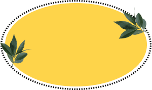 slide background