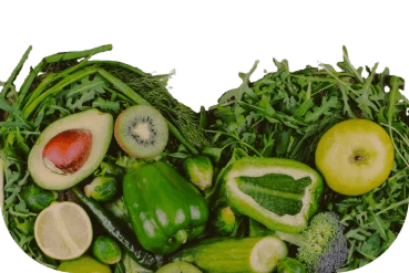 High concentration of nutrients