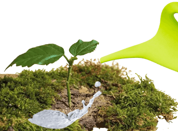 Improves soil water retention