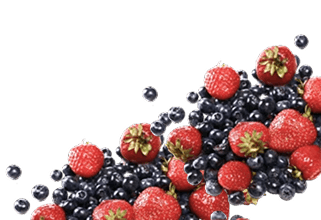 Berries