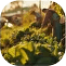Medium and small farms