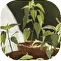 Horticulture